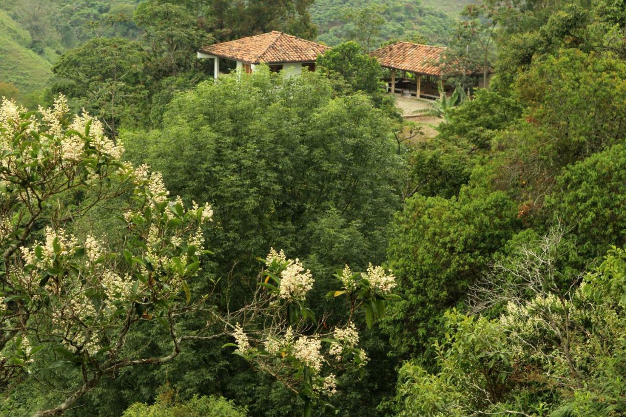 Eco Hotel El Columpio Salento Dış mekan fotoğraf