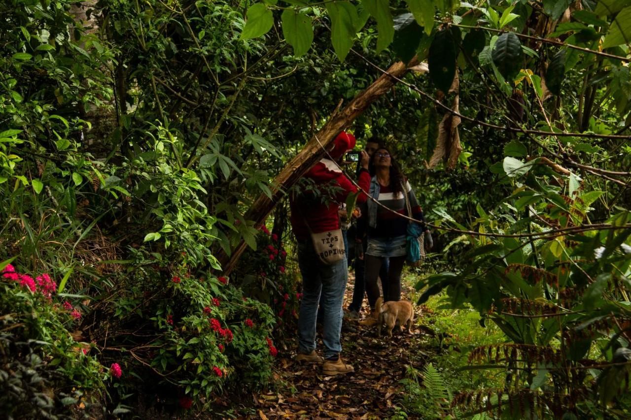 Eco Hotel El Columpio Salento Dış mekan fotoğraf