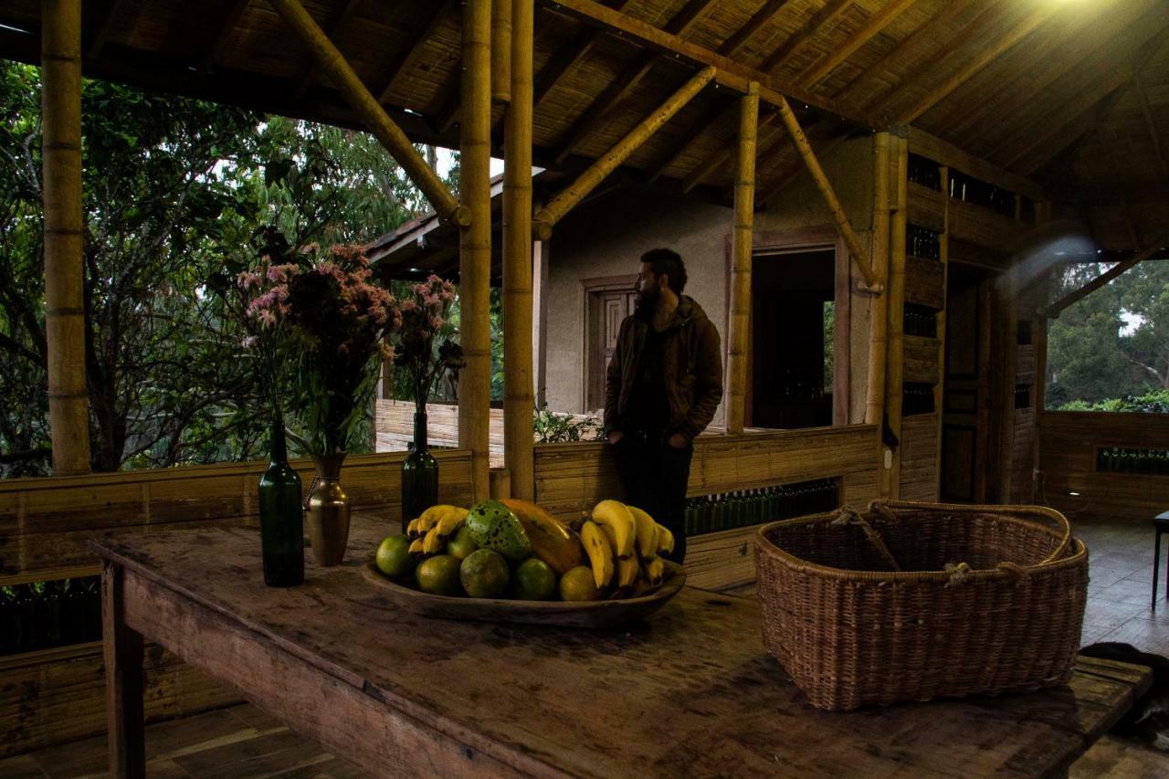 Eco Hotel El Columpio Salento Dış mekan fotoğraf